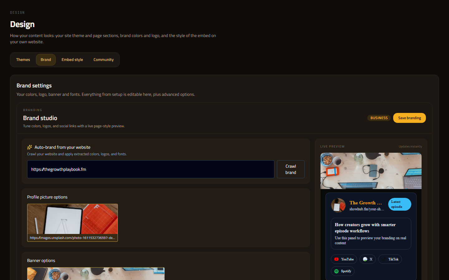 ShowHub branding settings